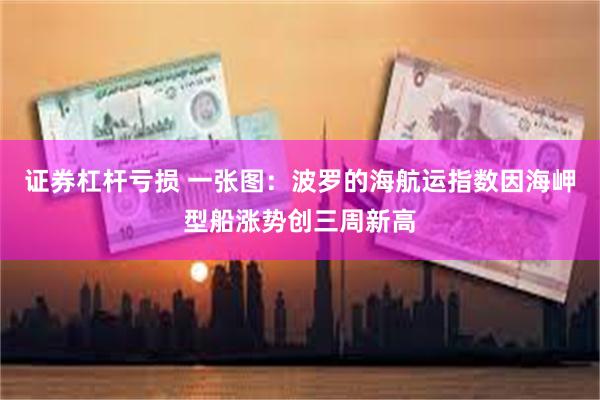 证券杠杆亏损 一张图：波罗的海航运指数因海岬型船涨势创三周新高