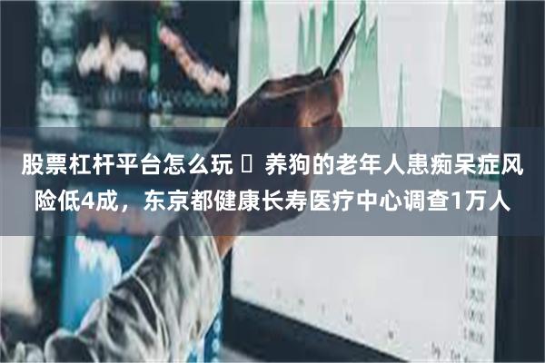 股票杠杆平台怎么玩 养狗的老年人患痴呆症风险低4成,东京都健康长寿医疗中心调查1万人