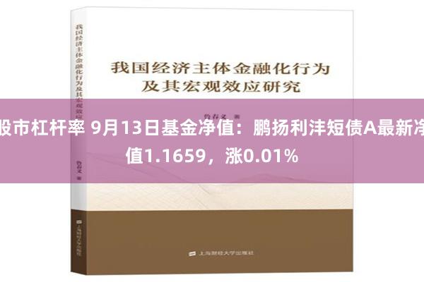 股市杠杆率 9月13日基金净值：鹏扬利沣短债A最新净值1.1659，涨0.01%