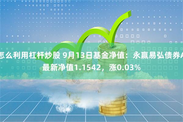 怎么利用杠杆炒股 9月13日基金净值：永赢易弘债券A最新净值1.1542，涨0.03%