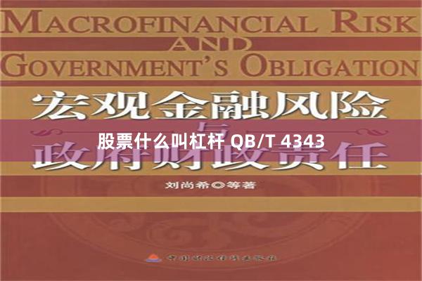 股票什么叫杠杆 QB/T 4343