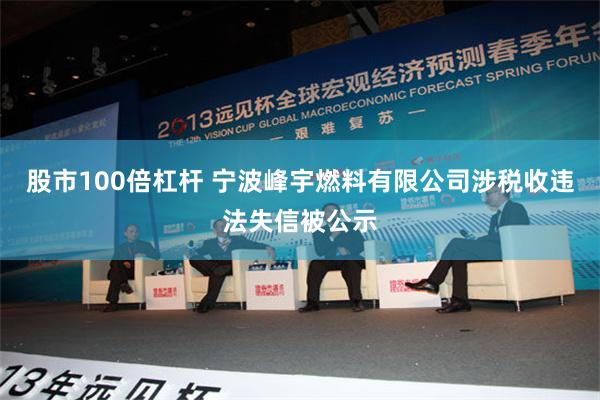 股市100倍杠杆 宁波峰宇燃料有限公司涉税收违法失信被公示