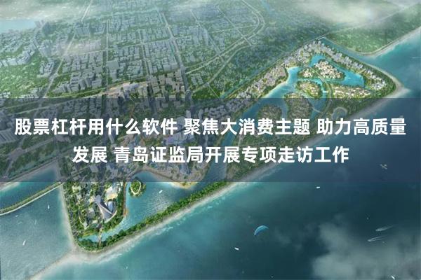 股票杠杆用什么软件 聚焦大消费主题 助力高质量发展 青岛证监局开展专项走访工作