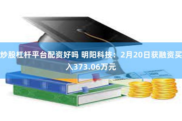 炒股杠杆平台配资好吗 明阳科技：2月20日获融资买入373.06万元