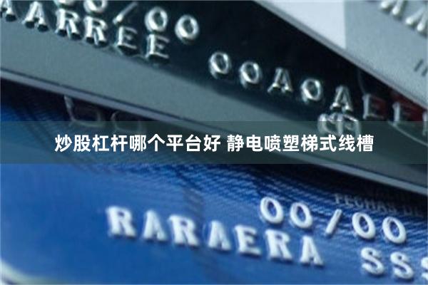 炒股杠杆哪个平台好 静电喷塑梯式线槽
