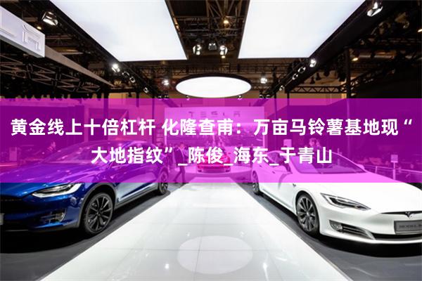 黄金线上十倍杠杆 化隆查甫：万亩马铃薯基地现“大地指纹”_陈俊_海东_于青山