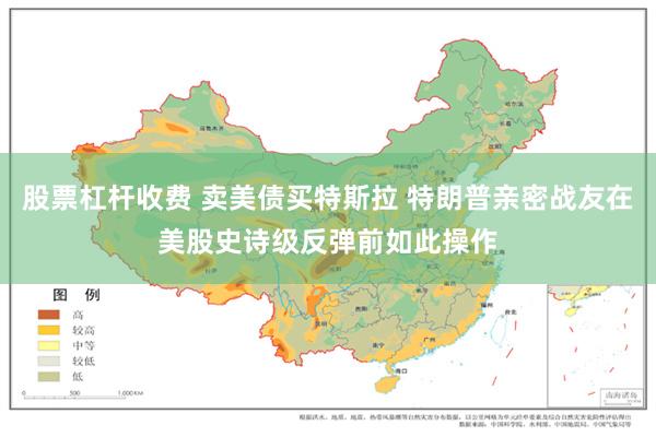 股票杠杆收费 卖美债买特斯拉 特朗普亲密战友在美股史诗级反弹前如此操作