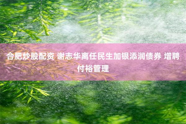合肥炒股配资 谢志华离任民生加银添润债券 增聘付裕管理