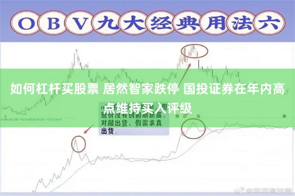 如何杠杆买股票 居然智家跌停 国投证券在年内高点维持买入评级