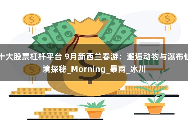 十大股票杠杆平台 9月新西兰春游：邂逅动物与瀑布仙境探秘_Morning_暴雨_冰川