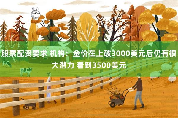 股票配资要求 机构：金价在上破3000美元后仍有很大潜力 看到3500美元
