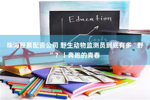 珠海股票配资公司 野生动物监测员到底有多“野”？丨奔跑的青春