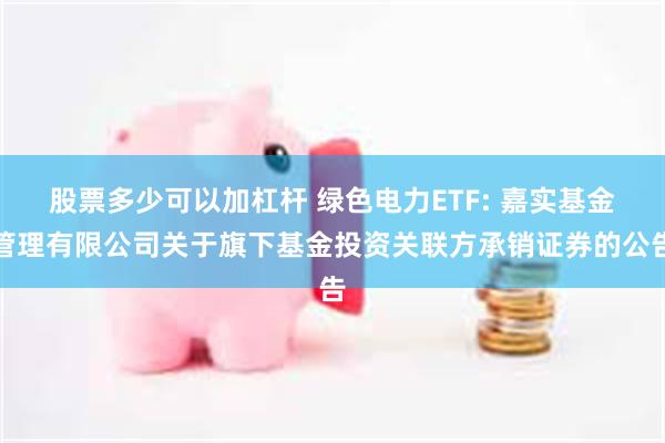 股票多少可以加杠杆 绿色电力ETF: 嘉实基金管理有限公司关于旗下基金投资关联方承销证券的公告