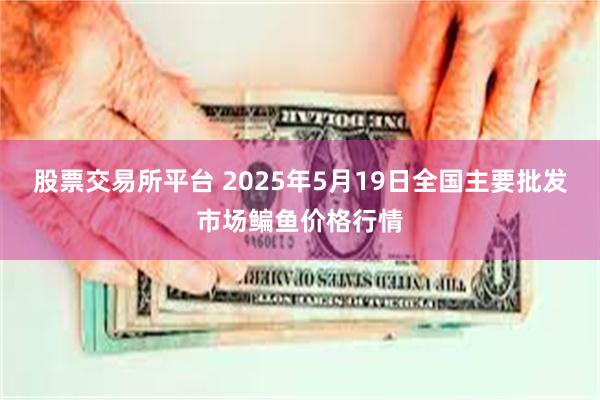 股票交易所平台 2025年5月19日全国主要批发市场鳊鱼价格行情