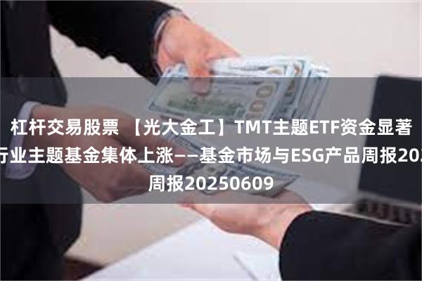 杠杆交易股票 【光大金工】TMT主题ETF资金显著流入，行业主题基金集体上涨——基金市场与ESG产品周报20250609