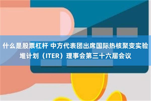什么是股票杠杆 中方代表团出席国际热核聚变实验堆计划（ITER）理事会第三十六届会议