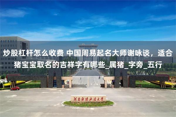 炒股杠杆怎么收费 中国周易起名大师谢咏谈，适合猪宝宝取名的吉祥字有哪些_属猪_字旁_五行