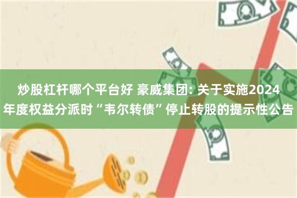 炒股杠杆哪个平台好 豪威集团: 关于实施2024年度权益分派时“韦尔转债”停止转股的提示性公告