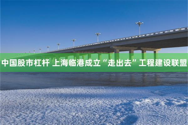 中国股市杠杆 上海临港成立“走出去”工程建设联盟
