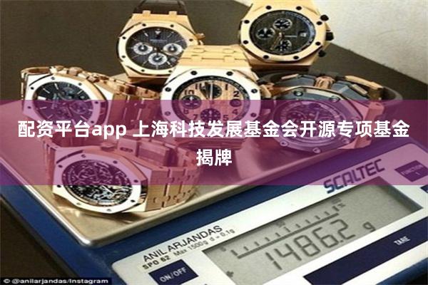 配资平台app 上海科技发展基金会开源专项基金揭牌