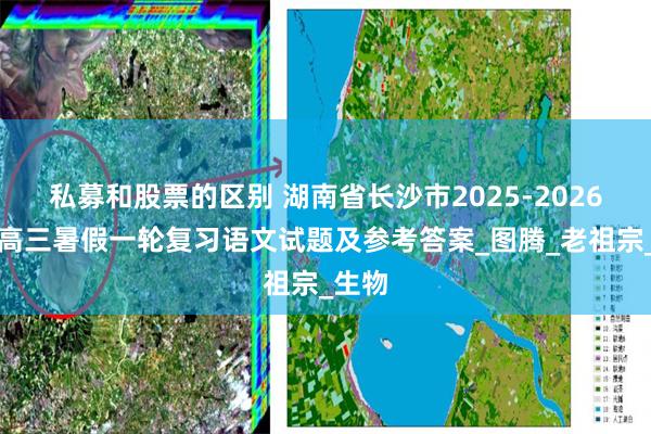 私募和股票的区别 湖南省长沙市2025-2026学年高三暑假一轮复习语文试题及参考答案_图腾_老祖宗_生物