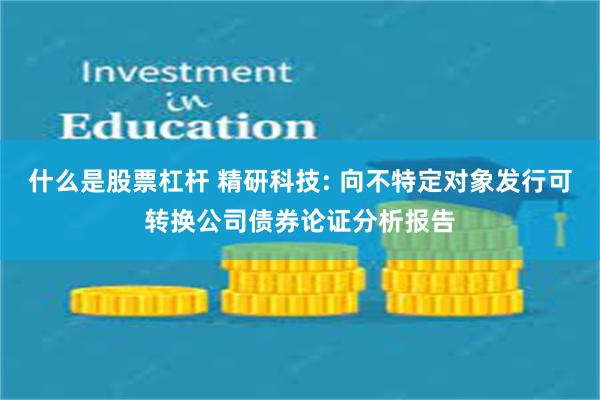 什么是股票杠杆 精研科技: 向不特定对象发行可转换公司债券论证分析报告