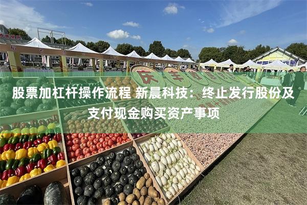 股票加杠杆操作流程 新晨科技：终止发行股份及支付现金购买资产事项