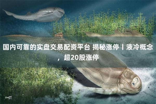 国内可靠的实盘交易配资平台 揭秘涨停丨液冷概念，超20股涨停