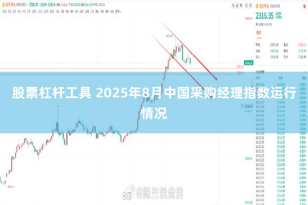股票杠杆工具 2025年8月中国采购经理指数运行情况