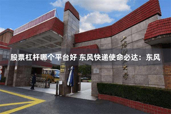 股票杠杆哪个平台好 东风快递使命必达：东风