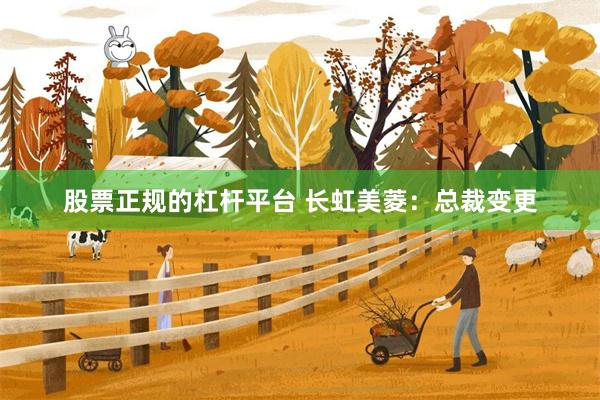 股票正规的杠杆平台 长虹美菱：总裁变更