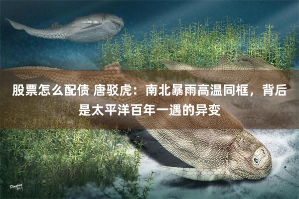 股票怎么配债 唐驳虎：南北暴雨高温同框，背后是太平洋百年一遇的异变