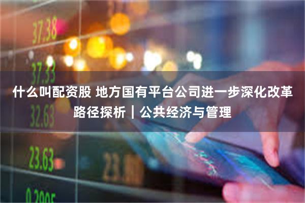 什么叫配资股 地方国有平台公司进一步深化改革路径探析︱公共经济与管理