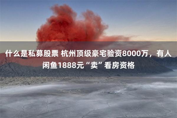 什么是私募股票 杭州顶级豪宅验资8000万，有人闲鱼1888元“卖”看房资格