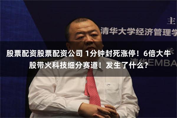 股票配资股票配资公司 1分钟封死涨停！6倍大牛股带火科技细分赛道！发生了什么？