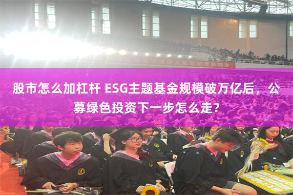 股市怎么加杠杆 ESG主题基金规模破万亿后，公募绿色投资下一步怎么走？