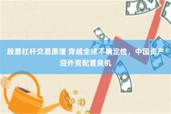 股票杠杆交易原理 穿越全球不确定性，中国资产迎外资配置良机