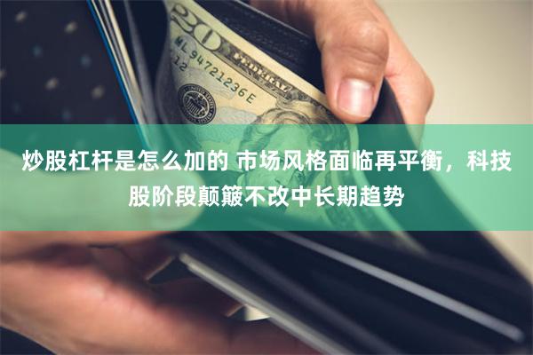 炒股杠杆是怎么加的 市场风格面临再平衡，科技股阶段颠簸不改中长期趋势