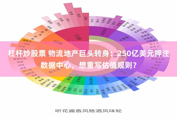 杠杆炒股票 物流地产巨头转身：250亿美元押注数据中心，想重写估值规则？