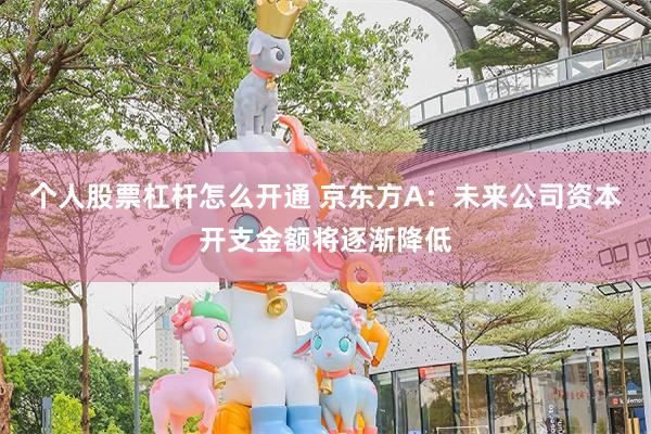 个人股票杠杆怎么开通 京东方A：未来公司资本开支金额将逐渐降低