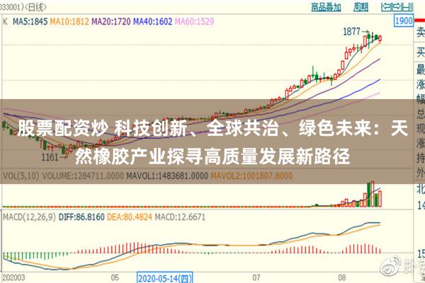 股票配资炒 科技创新、全球共治、绿色未来：天然橡胶产业探寻高质量发展新路径