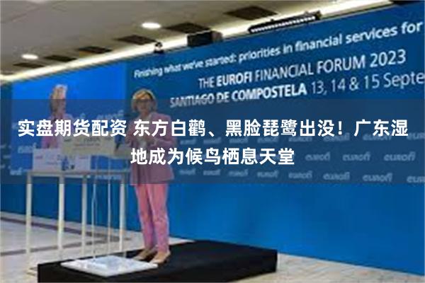 实盘期货配资 东方白鹳、黑脸琵鹭出没!广东湿地成为候鸟栖息天堂
