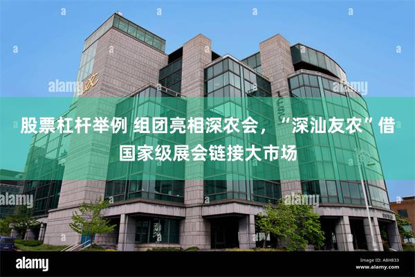 股票杠杆举例 组团亮相深农会，“深汕友农”借国家级展会链接大市场