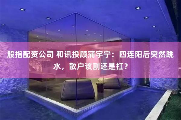 股指配资公司 和讯投顾蒲宇宁：四连阳后突然跳水，散户该割还是扛？