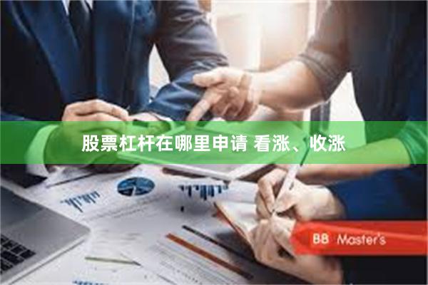股票杠杆在哪里申请 看涨、收涨