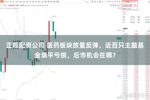 正规配资公司 医药板块放量反弹,近百只主题基金填平亏损,后市机会在哪?