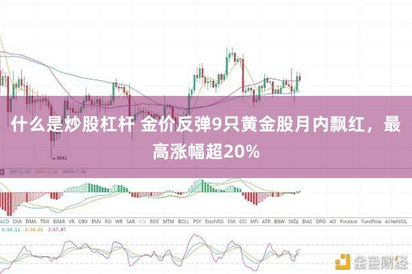 什么是炒股杠杆 金价反弹9只黄金股月内飘红，最高涨幅超20%