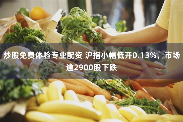 炒股免费体验专业配资 沪指小幅低开0.13%,市场逾2900股下跌