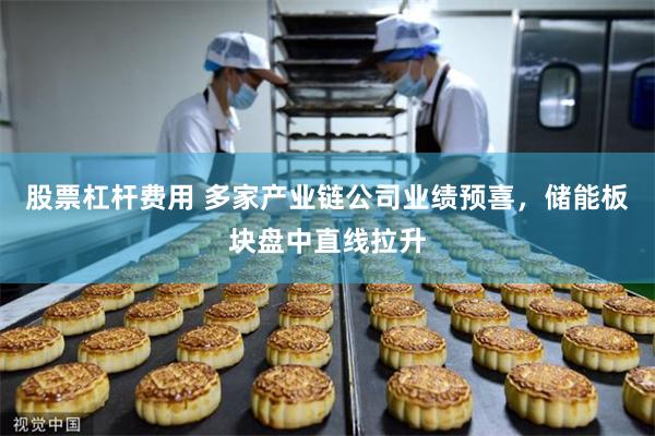 股票杠杆费用 多家产业链公司业绩预喜,储能板块盘中直线拉升