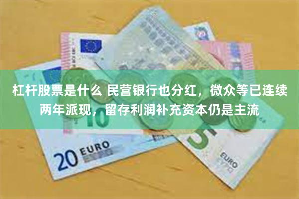 杠杆股票是什么 民营银行也分红，微众等已连续两年派现，留存利润补充资本仍是主流